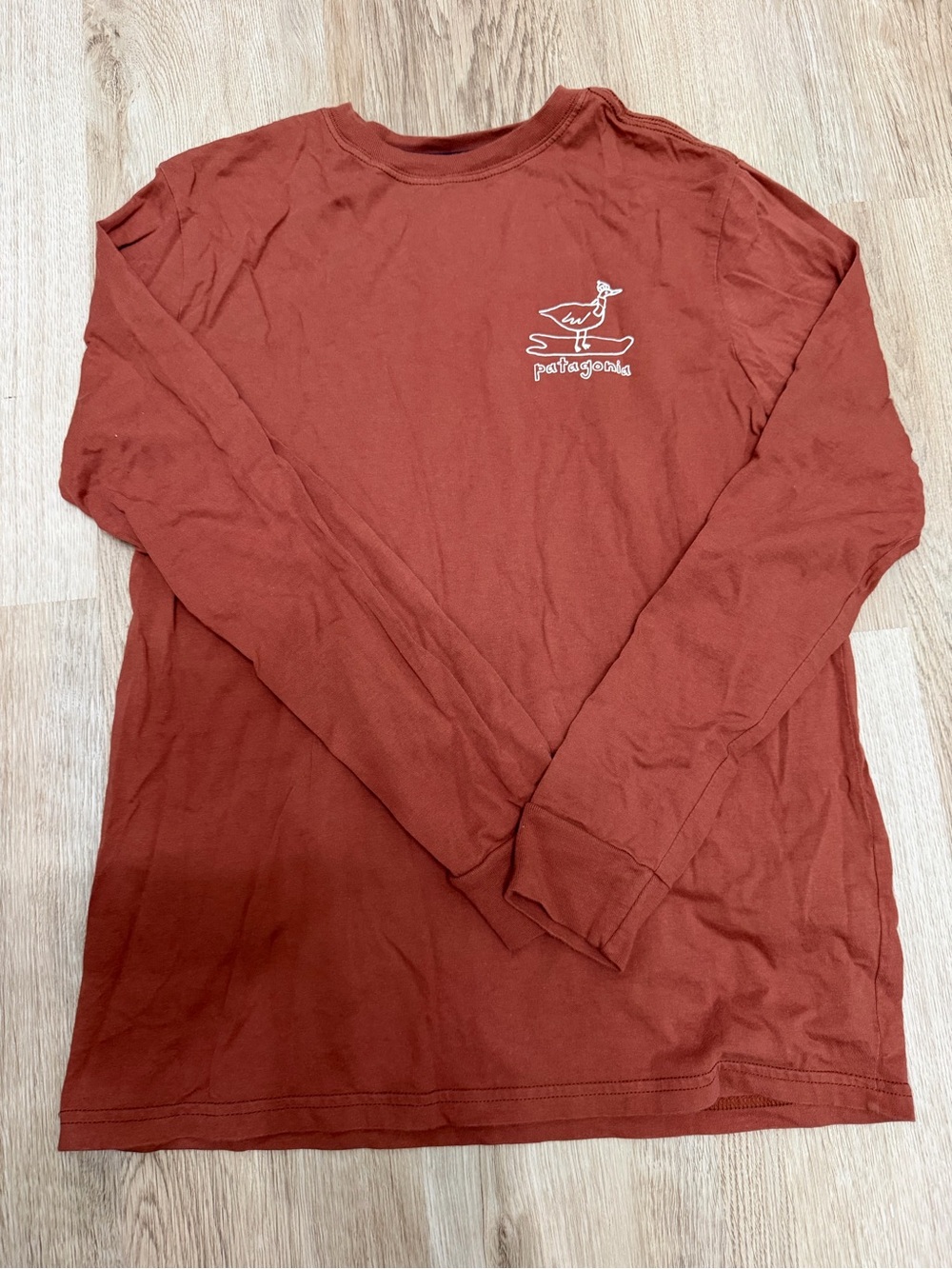 Patagonia Boys Long Sleeve T-Shirt in Rust Red